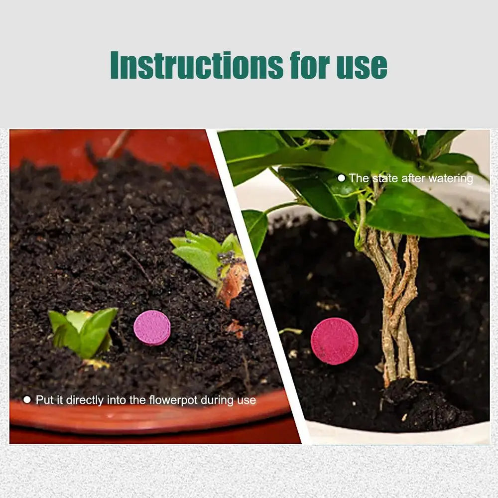 【3 cutii】Tablete de uz general pentru nutriția plantelor --- îngrășământ pentru plante