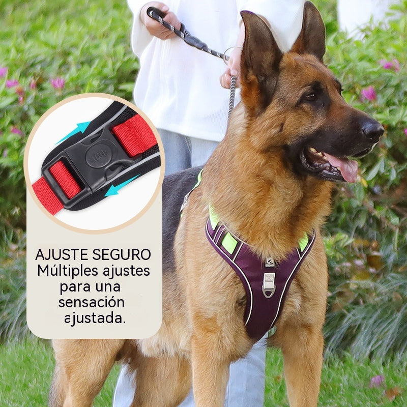 🐶¡50% OFF! Arnés antitirones + Correa 2m GRATIS