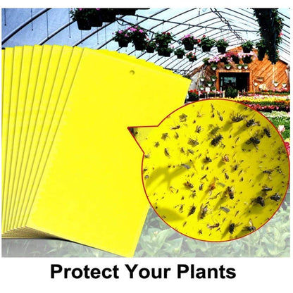 🔥【60 pcs】【Oferta por tiempo limitado】💥Tablero adhesivo de insectos de doble cara amarillo