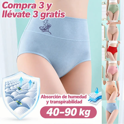 💖Último día con 50 % de descuento - 【1 conjunto de 6 unidades】Bragas moldeadoras de cintura alta con cinturilla ancha de algodón puro [40–100 kg]