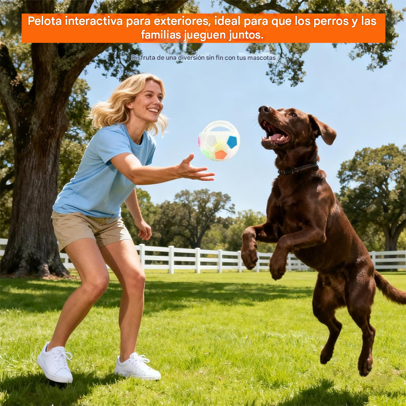 ⚽🐕🐾🔥Juguete para perros: fútbol, suministros interactivos y resistentes a las mordeduras para border collies, labradores y corgis.