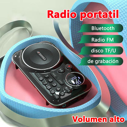 🎁【Časovo obmedzená ponuka】Prenosný hudobný prehrávač Bluetooth rádia, môže vložiť kartu a USB flash disk