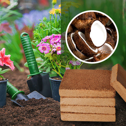 💥【Cumpără 3, primești 3 gratis】🌱🌱Pământ nutritiv pentru cărămizi de cocos 3892928 