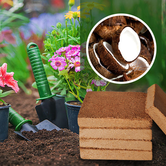 💥【Cumpără 3, primești 3 gratis】🌱🌱Pământ nutritiv pentru cărămizi de cocos 3892928 