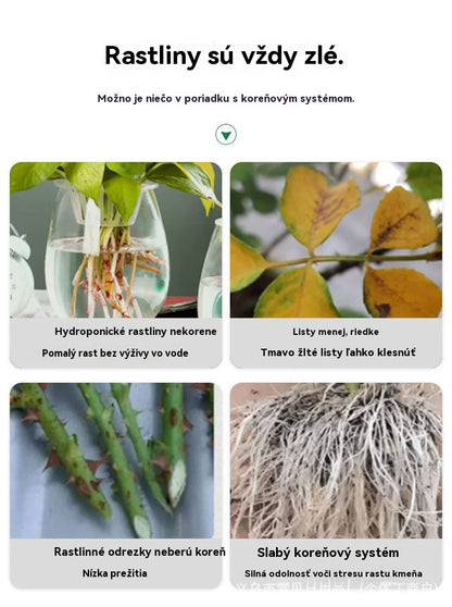🌱【Kúpte 10, získajte 10 zadarmo】Prášok na zakorenenie rastlín, poskytuje rastlinám základné živiny