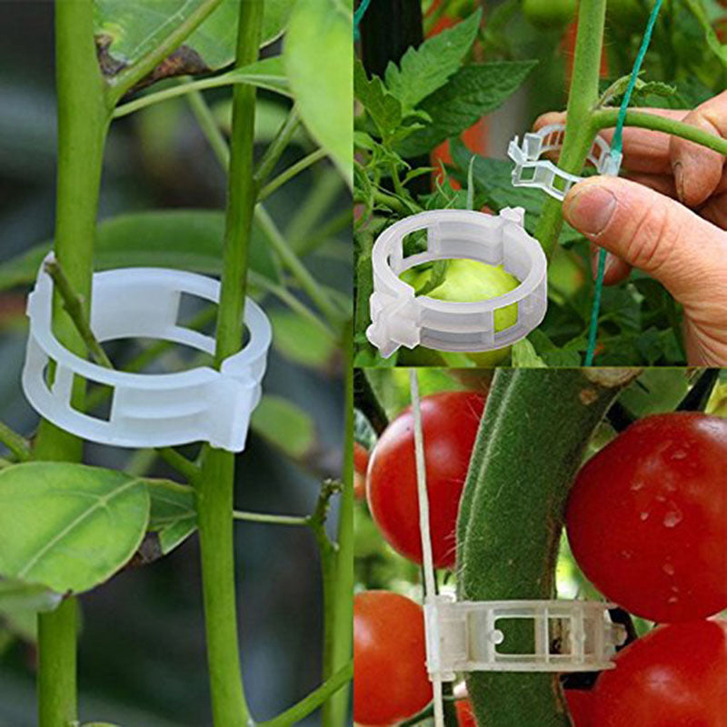 🍅🌱【50% ZĽAVA】【🔥200 kusov】Nastaviteľný fixačný klip pre zdravý rast sadeníc – Bezpečná podpora, ľahké použitie a podporuje rýchly vývoj