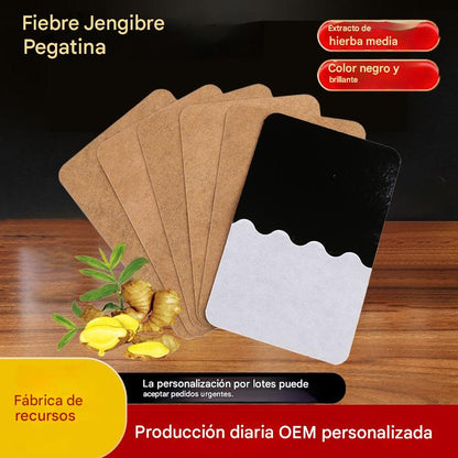 🔥Los más vendidos - 50% de descuento🔥【10/50/100 piezas】Parches de jengibre para aliviar el dolor