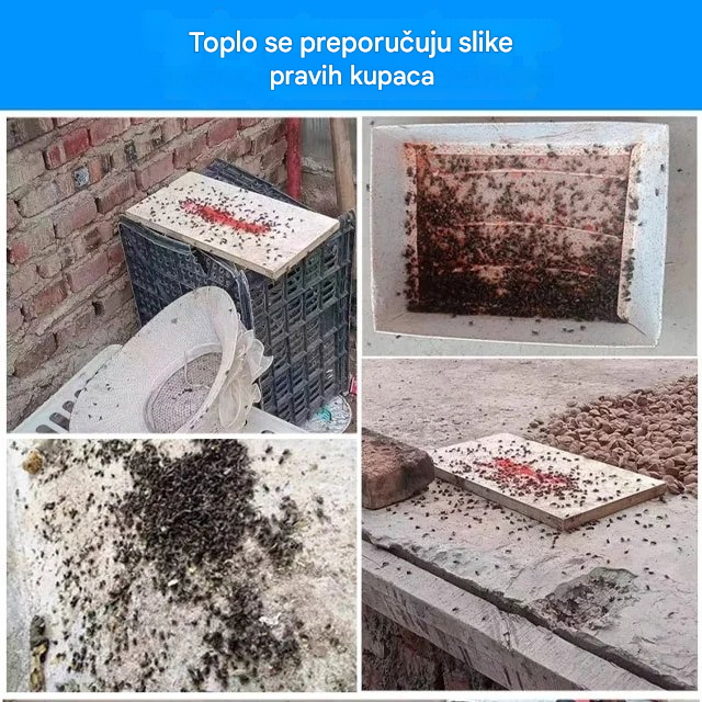 🦟Posebno dizajniran za ubijanje komaraca i muha na farmama, jedno pakiranje ubija buhe/skakavce/žohare/muhe/komarce!