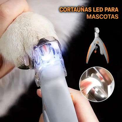 🐱🐶 Cortaúñas para mascotas con luz LED para gatos y perros