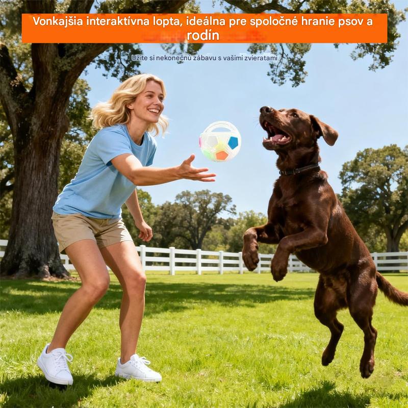 ⚽🐕🐾Časovo obmedzená ponuka🔥Hračka pre psa - Futbal, vysoko interaktívna, odolná, vhodná pre border kólie, labradory a corgi.