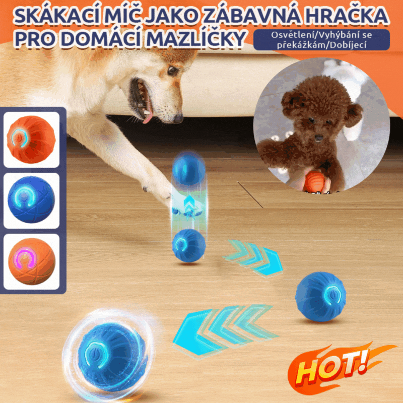 🐶⚽😆Kúpte 1 a získajte 1 zadarmo🔥Skákacia lopta s gravitačným efektom pre domácich miláčikov, šikovný psie hádanka, automatická lopta na venčenie psov, zábavná a zábavná hračka pre psov.