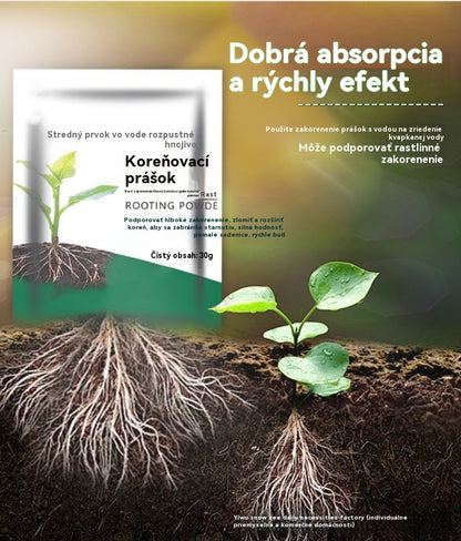 🌱【Kúpte 10, získajte 10 zadarmo】Prášok na zakorenenie rastlín, poskytuje rastlinám základné živiny