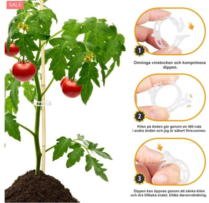 🍅🌱【50% ZĽAVA】【🔥200 kusov】Nastaviteľný fixačný klip pre zdravý rast sadeníc – Bezpečná podpora, ľahké použitie a podporuje rýchly vývoj