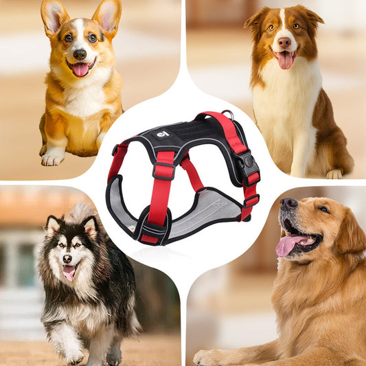 🐶🔥 Časovo obmedzená 50% zľava! Hrudný popruh proti ťahaniu, vrátane trakčného lana a obojku ✨ Maximalizujte kontrolu a bezpečnosť pri každej chôdzi 🌙