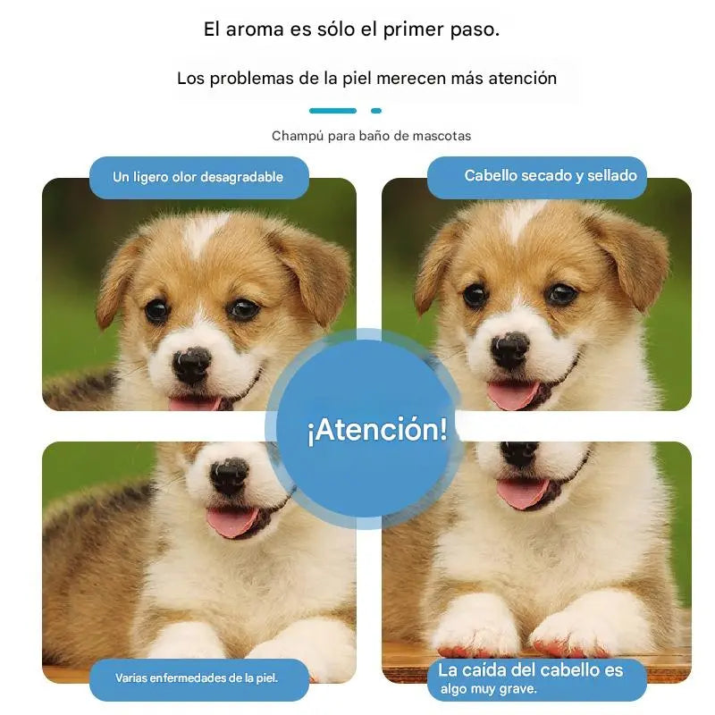 🐕🐱Champú en Espuma en Seco Mascotas - Espuma desodorante suave a base de plantas para mascotas,