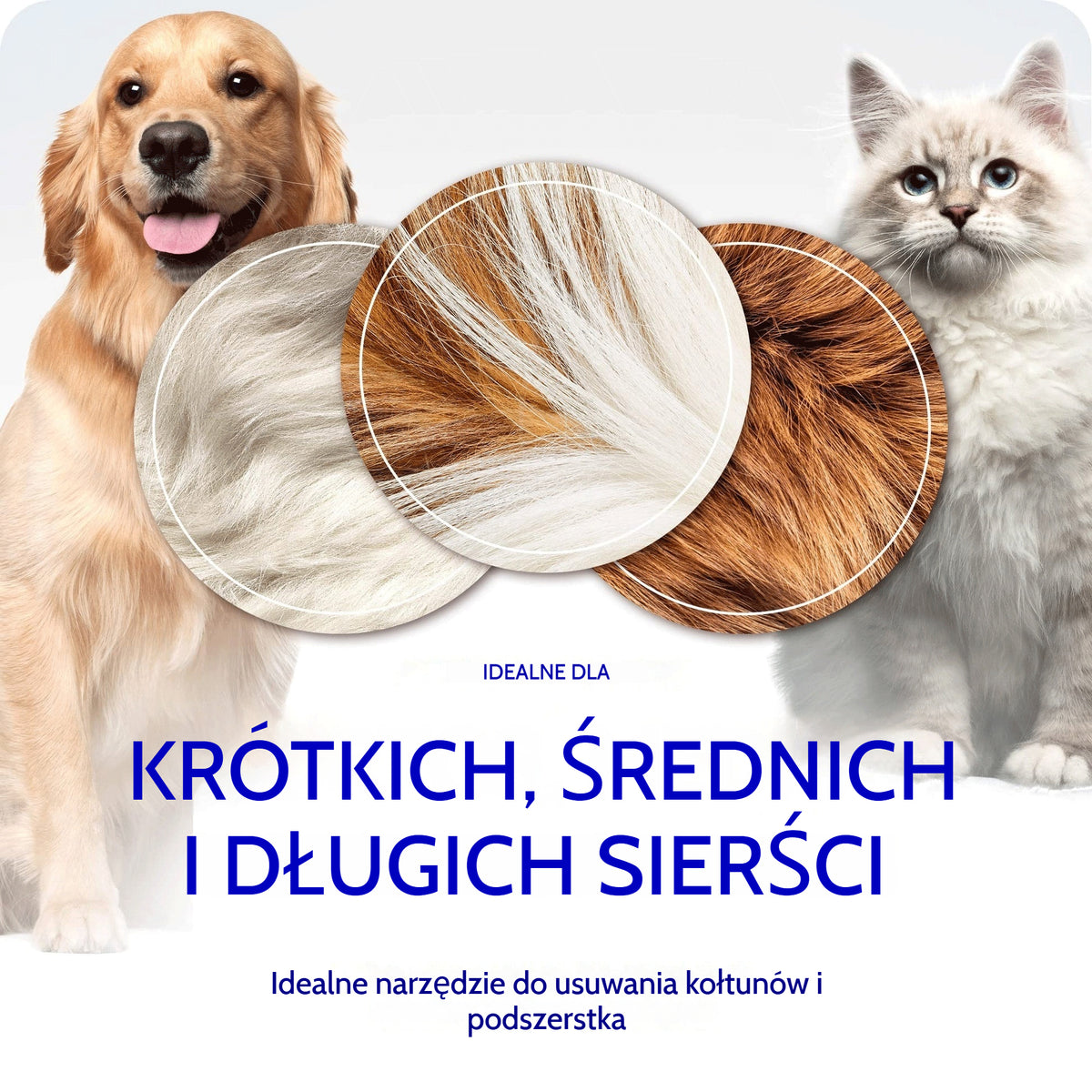 🐾 Profesjonalne narzędzie do usuwania martwego włosa dla psów i kotów: łagodne, skuteczne i dom wolny od włosów ✨💖
