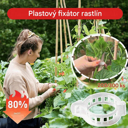 🌱【1 sada 200 🍅 】Pamätáte si na časy, keď vašu záhradu rozdrvilo ovocie? S týmito klipmi sa dá podoprieť všetko.