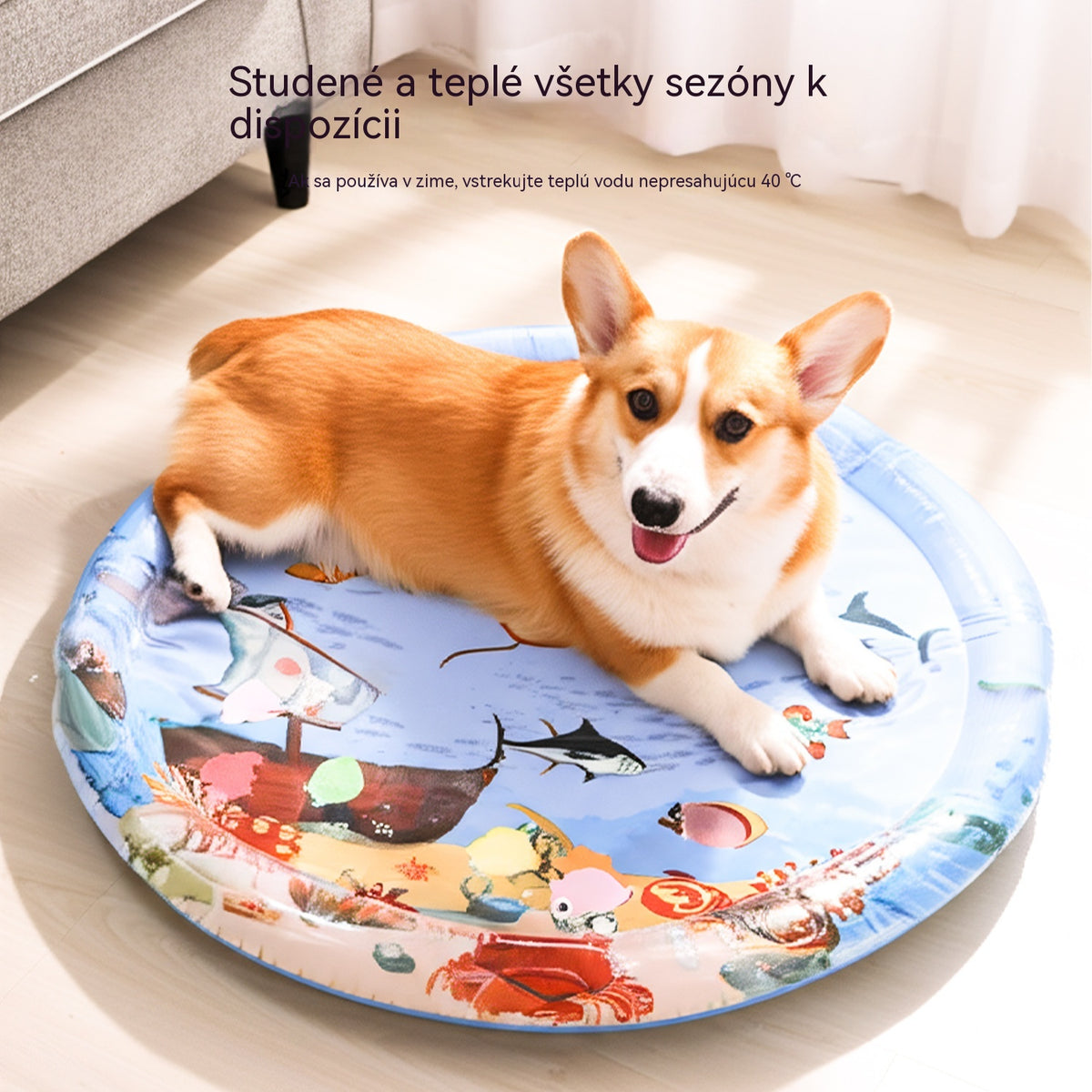 【24 €】 65 cm x 65 cm 【2 chladiace podložky】 + vzduchová pumpa — Letná chladiaca podložka pre domácich miláčikov