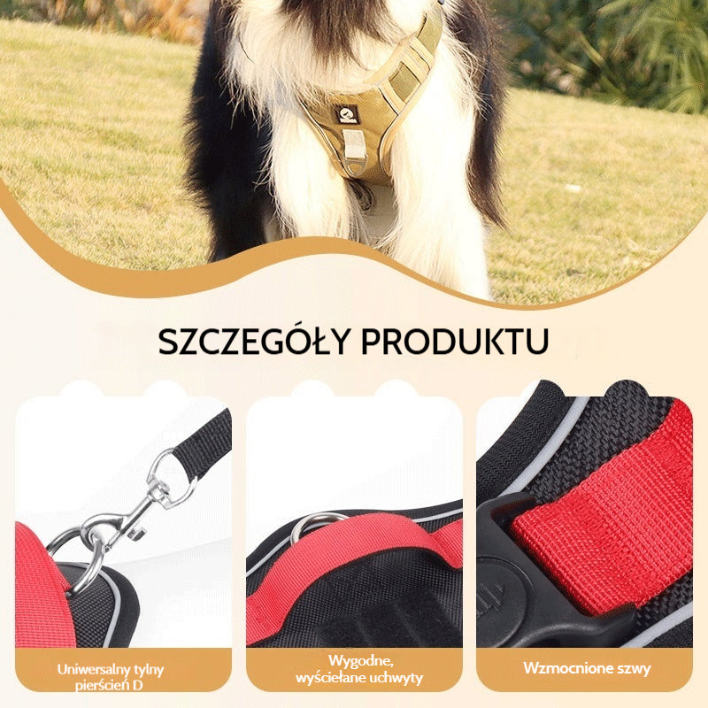 🐶🔥 50% ZNIŻKI NA CZAS OGRANICZONY! Uprząż antyciągowa ze smyczą i obrożą ✨ Maksymalna kontrola i bezpieczeństwo podczas każdego spaceru 🌙
