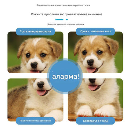 🐱🐈 Нежна дезодорираща пяна на растителна основа за домашни любимци, шампоани за домашни любимци