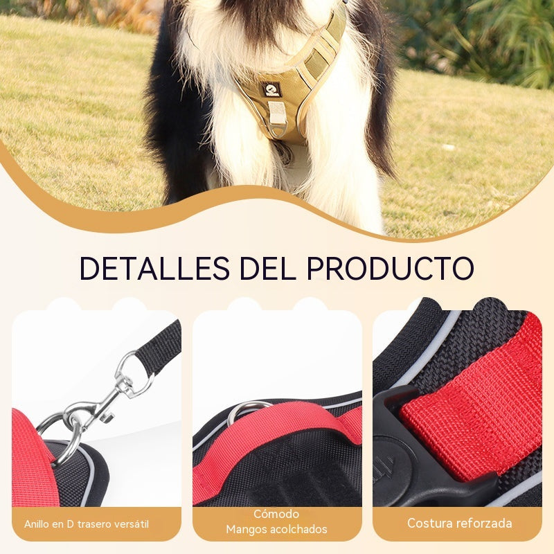 🐶¡50% OFF! Arnés antitirones + Correa 2m GRATIS