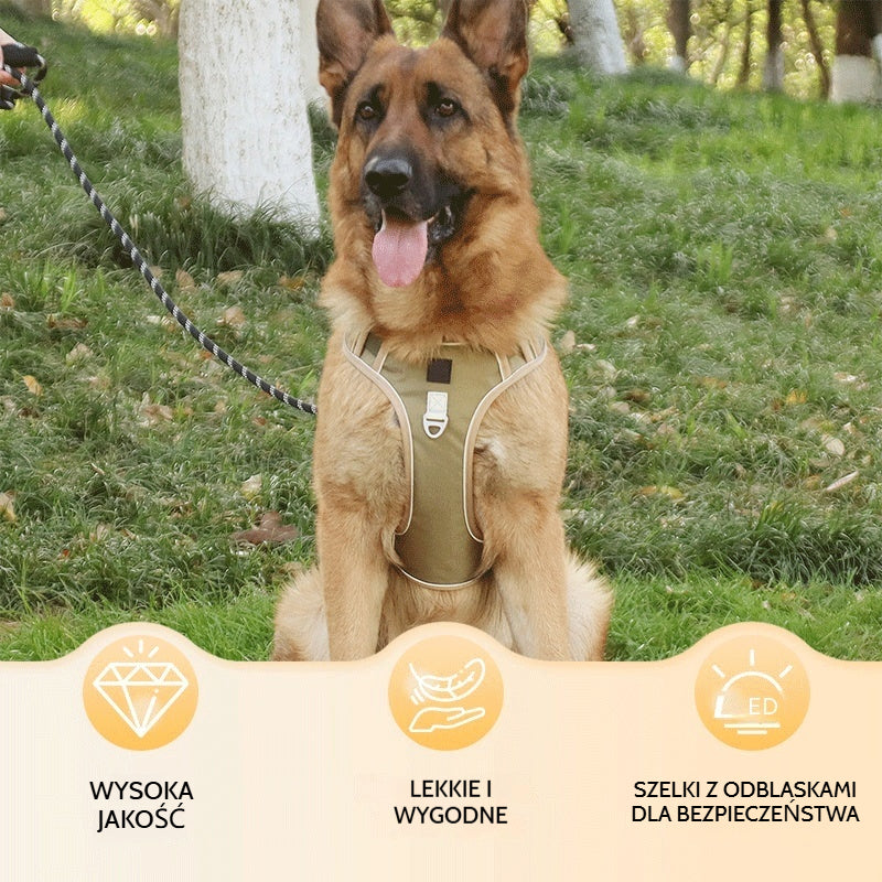 🐶🔥 50% ZNIŻKI NA CZAS OGRANICZONY! Uprząż antyciągowa ze smyczą i obrożą ✨ Maksymalna kontrola i bezpieczeństwo podczas każdego spaceru 🌙