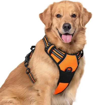 🦮Correa antitirones para perros