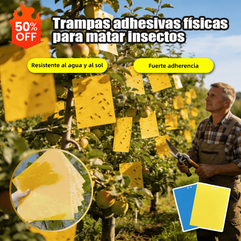 🔥【60 pcs】【Oferta por tiempo limitado】💥Tablero adhesivo de insectos de doble cara amarillo