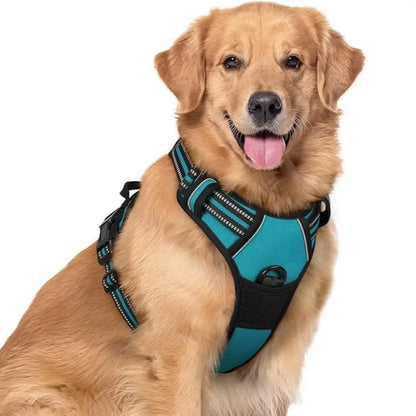🦮Correa antitirones para perros