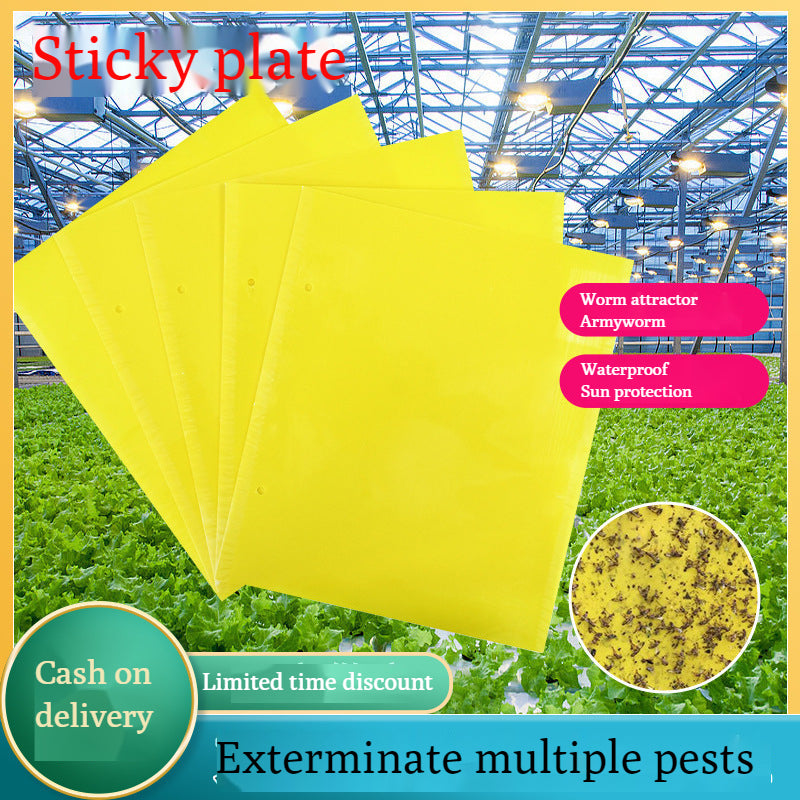 🔥【60 pcs】【Oferta por tiempo limitado】💥Tablero adhesivo de insectos de doble cara amarillo