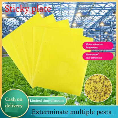 🔥【60 pcs】【Oferta por tiempo limitado】💥Tablero adhesivo de insectos de doble cara amarillo