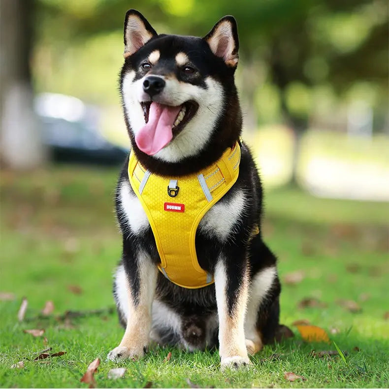 🐶【2.5–45 kg】Nova odsevna oprsnica za pse, proti pobegu, primerna za sprehode na prostem.