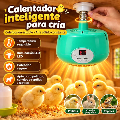 43 € ⏳Oferta por tiempo limitado: ¡50 % de descuento! ⏰Calentador para incubadora con control de temperatura inteligente💡