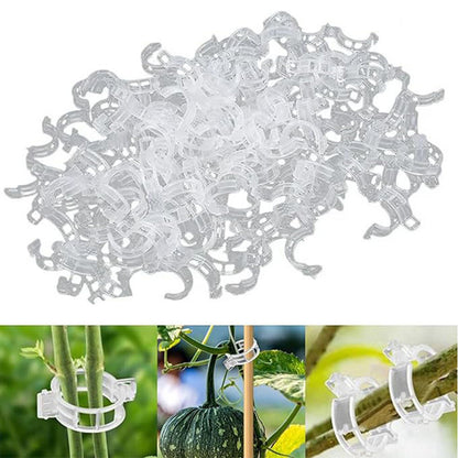 🌱【1 sada 200 🍅 】Pamätáte si na časy, keď vašu záhradu rozdrvilo ovocie? S týmito klipmi sa dá podoprieť všetko.