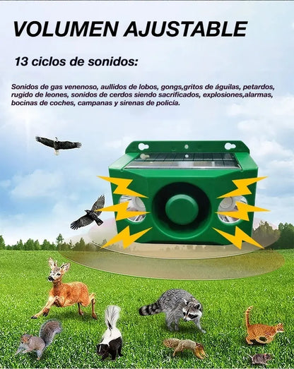 【✨Compra uno y llévate otro gratis】🐅Alarma solar con luz para ahuyentar animales salvajes