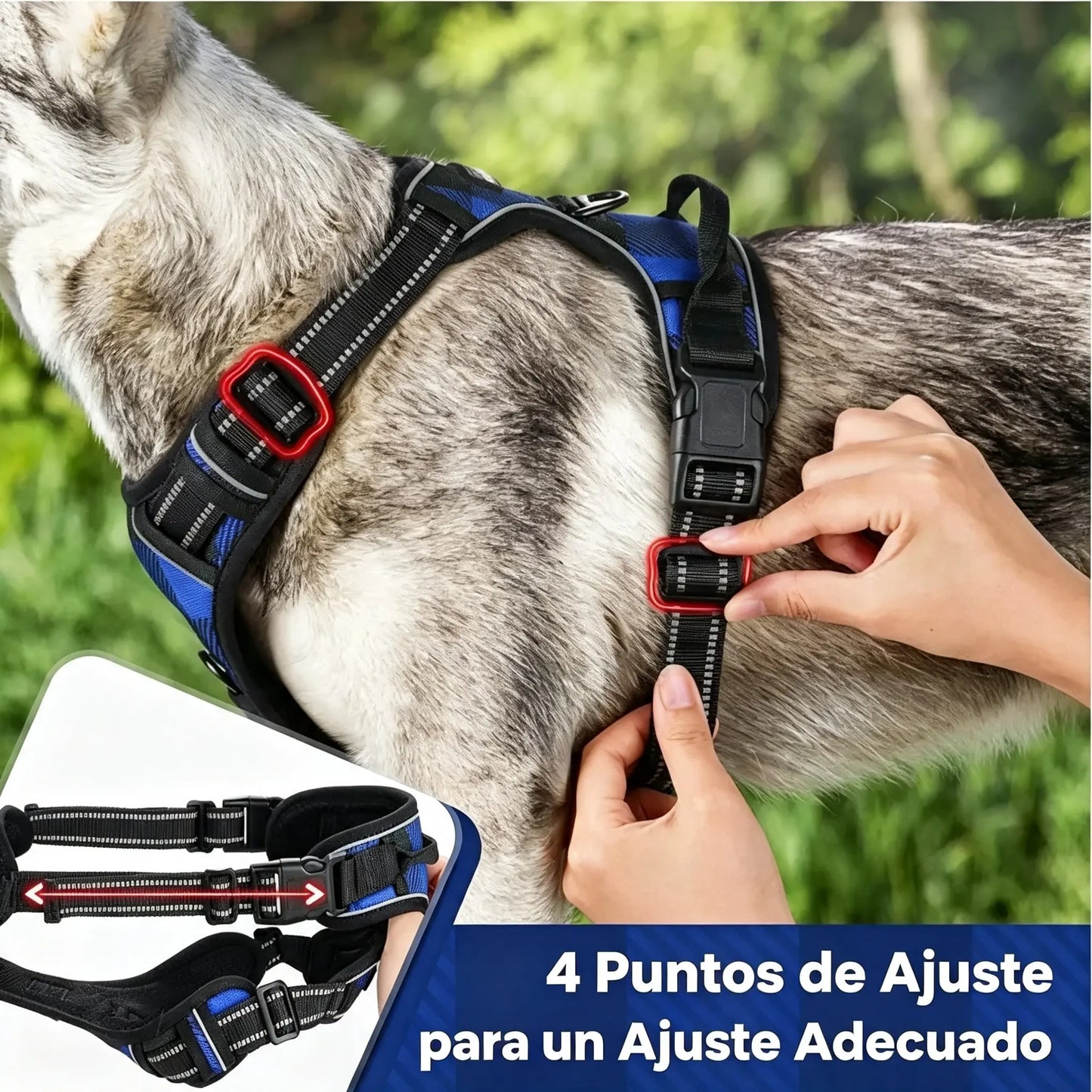 🦮Correa antitirones para perros