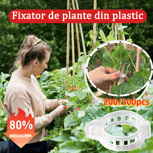 【🔥200 piezas】Clip de fijación para el crecimiento de plantas de plántula
