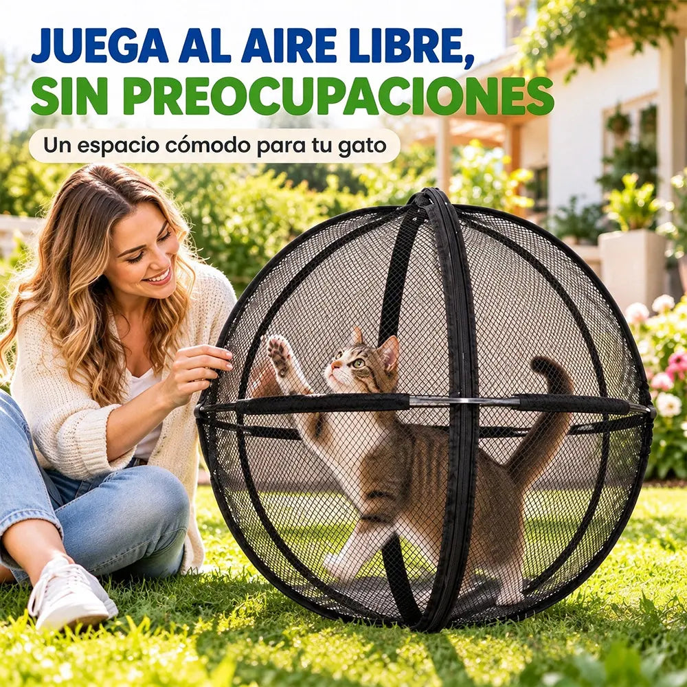 🐈 Recinto Rodante Panorámico 360° para Gatos, Bola de Ejercicio para Mascotas al Aire Libre✅