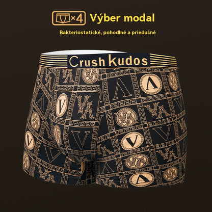 🚹✅💥【40-140kg】Priedušná spodná bielizeň z ľadového hodvábu pre mužov, pohodlná bezšvová spodná bielizeň, plus size, módna potlač