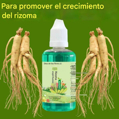 🌱🌱【Compra 1 y llévate 2 gratis】🔥Solución nutritiva general para fortalecer las raíces de las plantas
