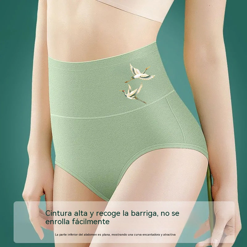 🔥 ¡ÚLTIMO DÍA -50%! 🍑 Pack de 6 Bragas de Algodón Premium | Cintura Alta y Efecto Moldeador ✨