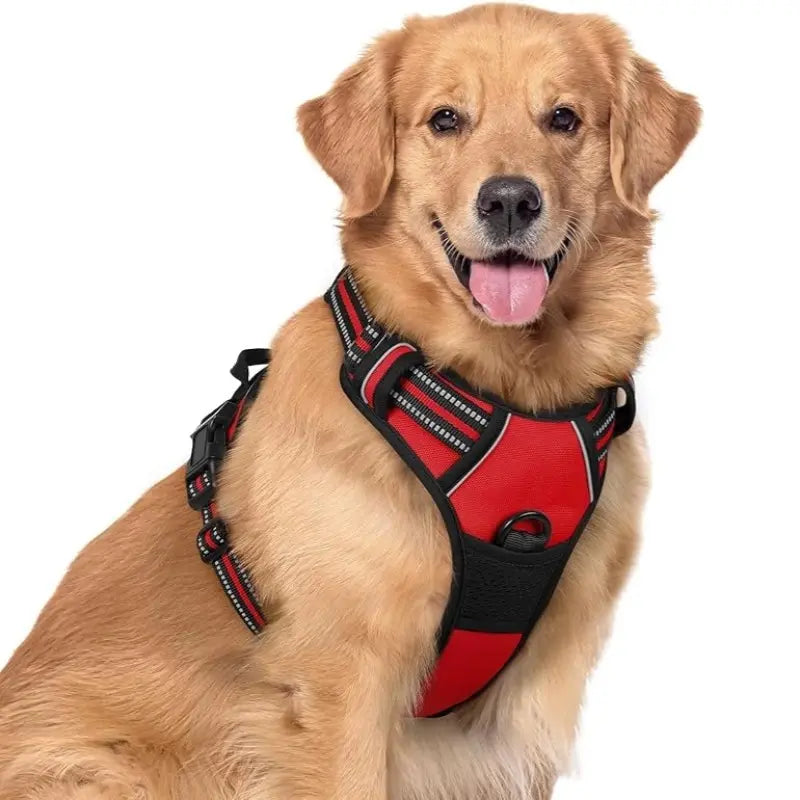 🦮Correa antitirones para perros