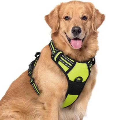 🦮Correa antitirones para perros