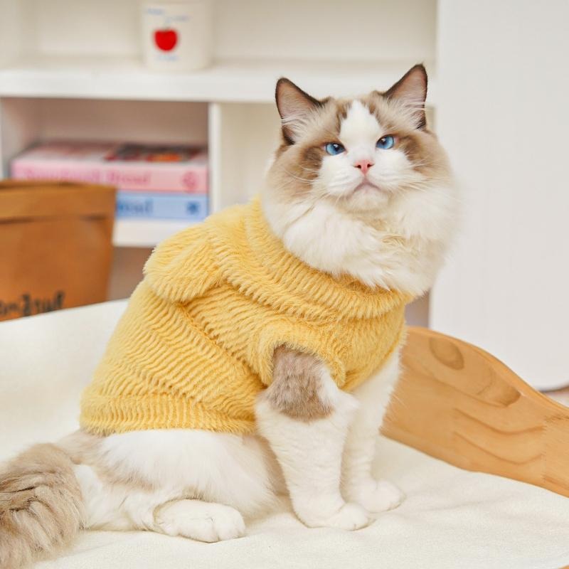 🧸【Compra 1 y recibe 1 gratis】【0.5-10kg】🧸 Abrigo cálido para perros y gatos – suave, adorable y con orejitas
