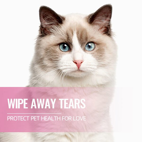 🐕🐈【50% sleva!】Čisticí ubrousky na skvrny od očí domácích mazlíčků 🔥Odstraňuje skvrny od slz🔥