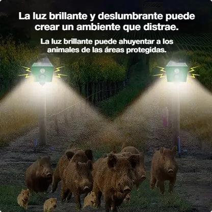 【✨Compra uno y llévate otro gratis】🐅Alarma solar con luz para ahuyentar animales salvajes