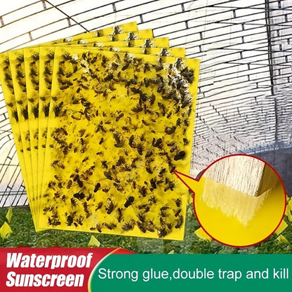🔥【60 pcs】【Oferta por tiempo limitado】💥Tablero adhesivo de insectos de doble cara amarillo