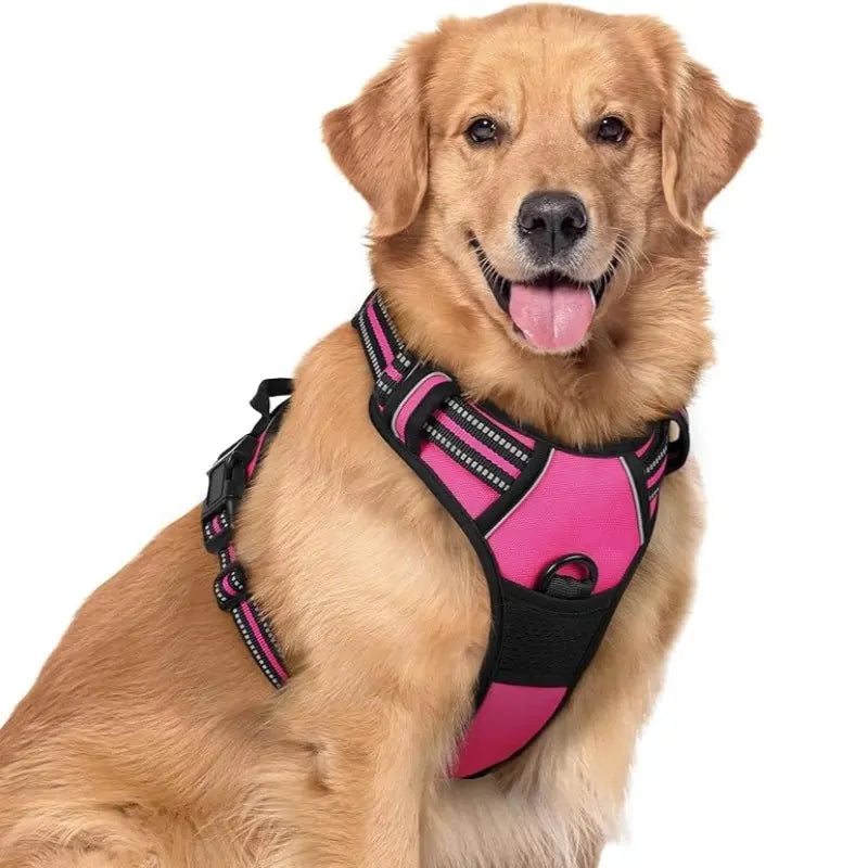 🦮Correa antitirones para perros