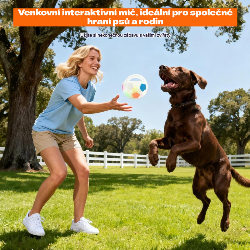 ⚽🐕🐾🔥Juguete para perros: fútbol, suministros interactivos y resistentes a las mordeduras para border collies, labradores y corgis.