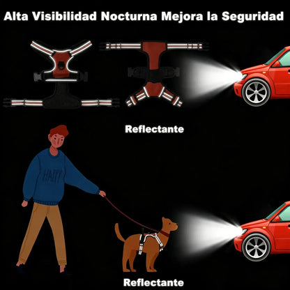 🦮Correa antitirones para perros